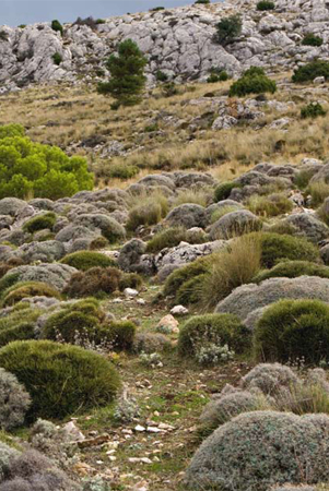 Variedad geológica en los campos militares