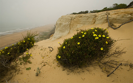 Lucha contra la contaminación en suelos