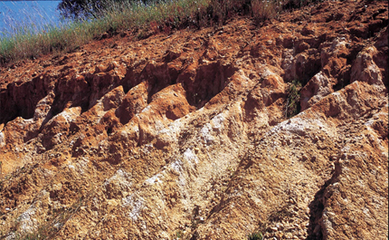 Lucha contra la contaminación en suelos