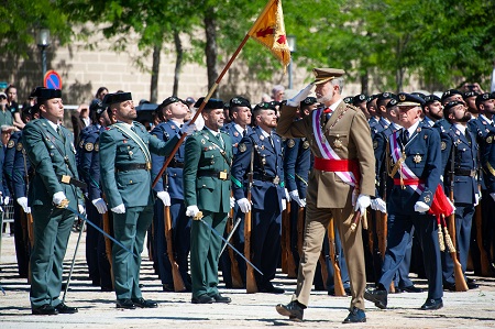 Revista de S. M. a la fuerza