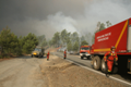 Personal y medios de la UME colaborando en tareas de extinción junto con los efectivos dispuestos por la Junta de Extremadura en el incendio forestal de Nuñomoral (Cáceres).