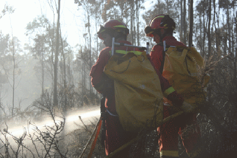 Militares de la UME en tareas de extinción en los incendios de A Coruña