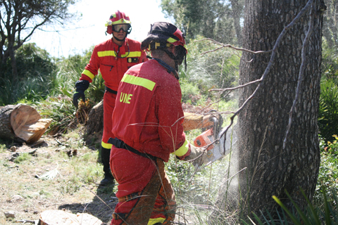 Instrucci&oacute;n de incendios forestales en Cabo Pinar