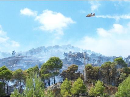 La Unidad Militar de Emergencias interviene por tercera vez este a&ntilde;o en las islas Baleares como consecuencia de un incendio forestal