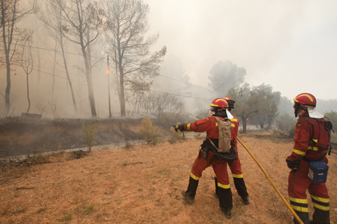 El Consejo de Ministros aprueba el Plan de Actuaciones de Prevenci&oacute;n y Lucha Contra los Incendios Forestales para el a&ntilde;o 2012