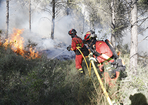 La segunda ola de calor que ha sufrido España ha obligado a la Unidad Militar de Emergencias (UME) a intervenir en 28 incendios forestales durante el mes de julio