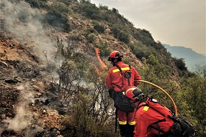 Liquidación de rebrotes en el incendio forestal de Leyre, en Navarra