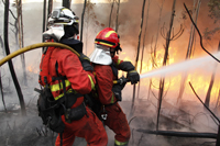 La UME ha colaborado este año en la resolución de 46 emergencias tanto en incendios forestales, terremotos, inundaciones o incendios industriales.