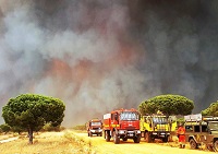 La UME se ha sumado al dispositivo junto a medios del 43 Grupo del Ejército del Aire, BHELEME, medios del Plan Infoca, Brica, Brigadas de Refuerzo en Incendios Forestales del MAPAMA y Agentes Medioambientales de Andalucía entre otros.