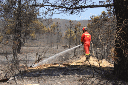 Personal del BIEM V realizando tareas de enfriamiento en el incendio forestal de Castrocontrigo (Le&oacute;n)
