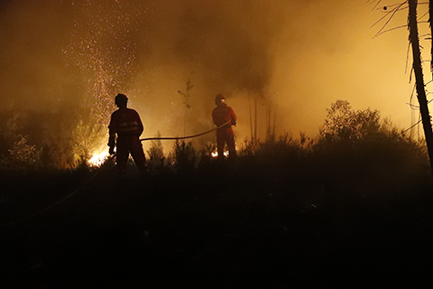 La UME inicia desde el d&iacute;a 16 de junio la campa&ntilde;a de lucha contra incendios forestales con un total de 2.900 militares