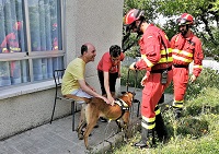 Los miembros del equipo cinológico realizaron una búsqueda por las instalaciones con perros de rescate