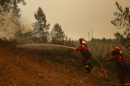 Personal del BIEM I en el incendio forestal de Nuñomoral (Cáceres)