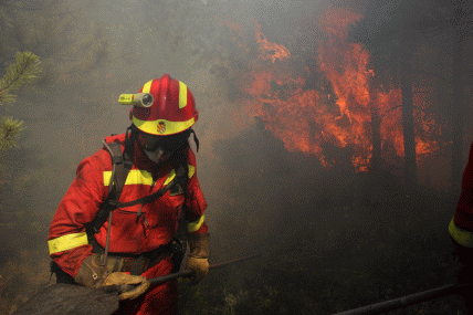 Personal de los BIEM,s III y IV en el incendio forestal de Aliaga (Teruel)