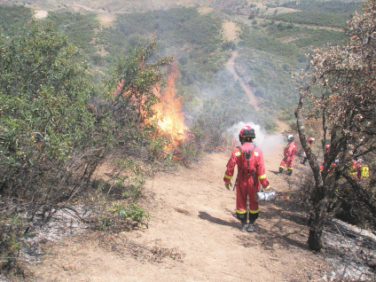 Personal del BIEM II realizando quemas controladas