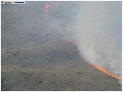 El incendio arras&oacute; una zona en el Parque Natural Regional de &ldquo;Pe&ntilde;a del &Aacute;guila&rdquo;.