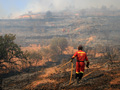 Efectos del devastador fuego que asoló a la Comunidad Valenciana