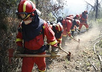 Con herramienta manual y muchas ganas, se comienza a trabajar para establecer cuantas líneas de defensa sean necesarias