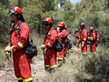 Linea de defensa