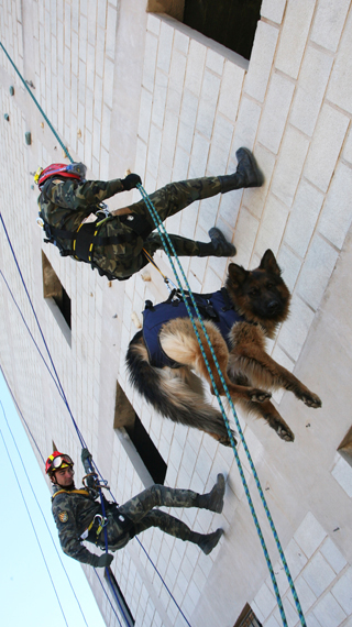 Rescate vertical