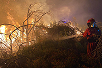 Incendio forestal San Millao Cualedro