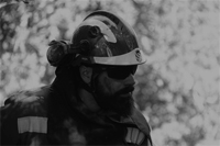 Con la alegria de proteger años de esfuerzo de los guardaparques de Biobío para preservar y recuperar especies únicas como el Pitao (árbol) o animales como el Cangrejo Tigre.