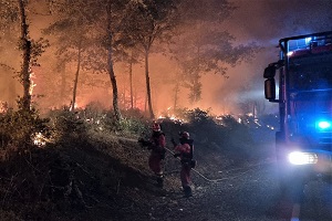 Ataque directo con apoyo de autobomba en los incendios de la Sierra de la Culebra, en Zamora