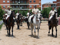 Equipos participantes en el campeonato
