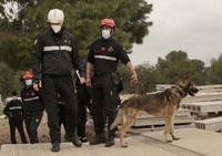 En escuelas prácticas cino, se ha realizado un estudio técnico de los ejercicios planteados en la última evaluación cinológica en un ambiente de estructuras colapsadas