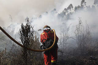 LCIF Portugal
