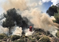 Entre los dos dispositivos se han desplegado un total de 192 militares y 55 vehículos