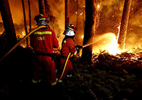 la Unidad Militar de Emergencias ha desplegado más de 600 efectivos.