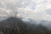 Dureante el incendio de Carcaixent los aviones Canadair del 43 Grupo del Ejercito del Aire realizaron 118 descargas en 2 días
