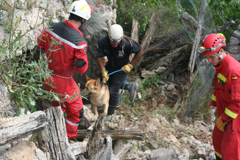 El equipo cinol&oacute;gico del BIEM IV particip&oacute; en unas Jornadas de equipos de rescate.