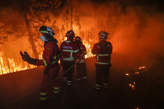 LCIF Portugal