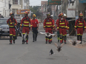 Terremoto Ecuador