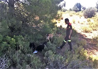En las Escuelas Practicas Cinológicas participaron guias y perros de vairos oranismos e instituciones