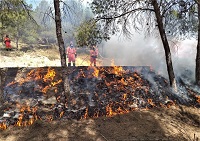 La CIEN 41 del Cuarto Batallón realizó su ejercicio de compañia en el CENAD San Gregorio