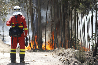 LCIF Portugal