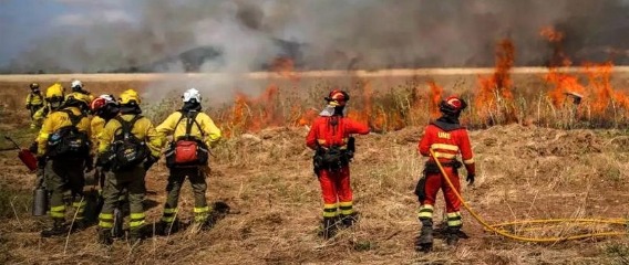 La UME y el Plan INFOCA refuerzan su cooperación frente a incendios forestales